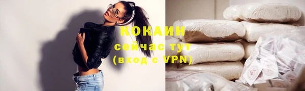 дурь Карпинск