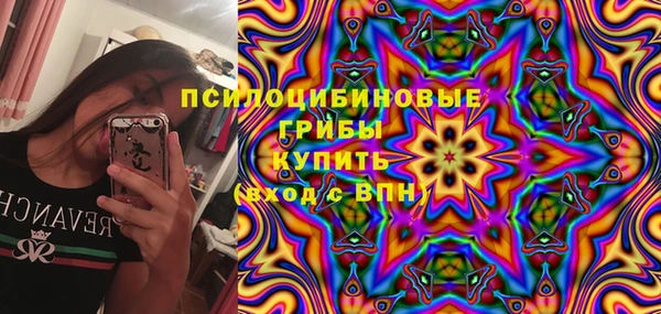 дурь Карпинск