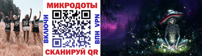 Купить  Каменка  Галлюциногенные грибы мухоморы 
