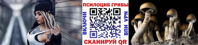Галлюциногенные грибы Psilocybine cubensis Каменка